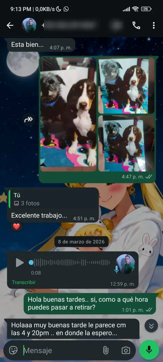 Captura de WhatsApp — pedido real NEBULA