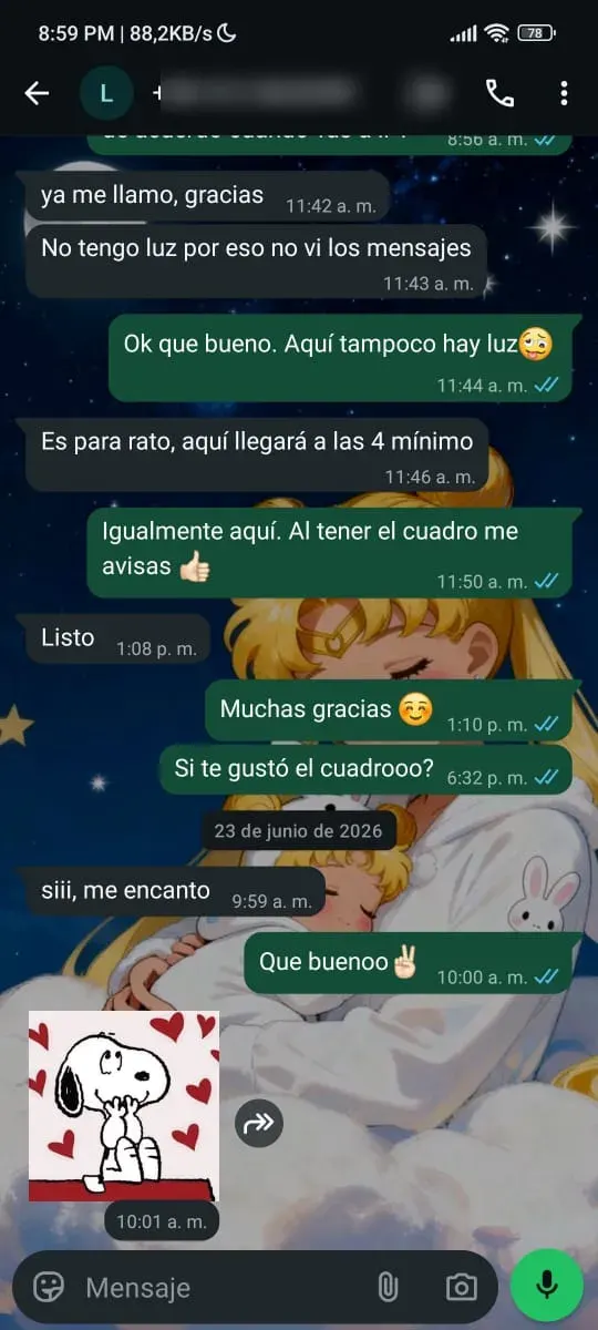 Captura de WhatsApp — pedido real NEBULA
